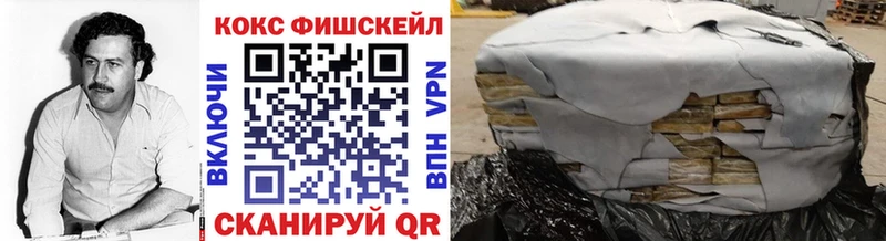 купить закладку  Ветлуга  Cocaine Fish Scale 