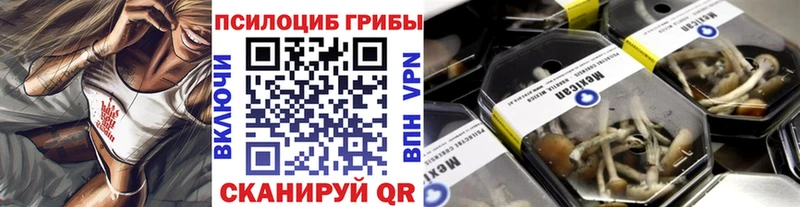 Псилоцибиновые грибы GOLDEN TEACHER  OMG зеркало  Ветлуга  цены  