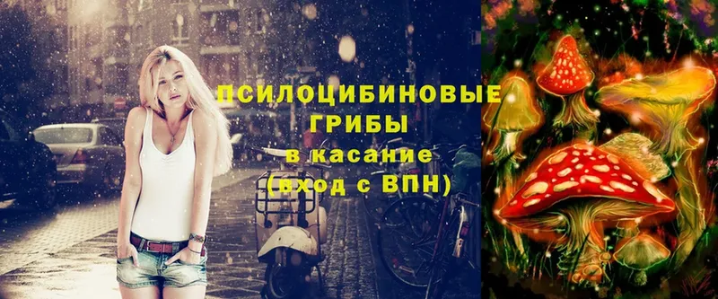 сайты даркнета какой сайт  Ветлуга  Галлюциногенные грибы Psilocybe 