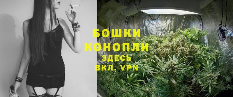 Шишки марихуана SATIVA & INDICA  Ветлуга 