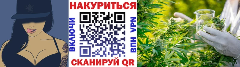 Конопля SATIVA & INDICA  наркошоп  Ветлуга 